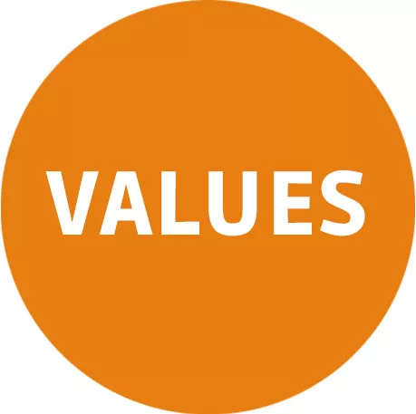 To achieve our vision, we have always adhered to the values of integrity, focus, health, and win-win in our business operations;
